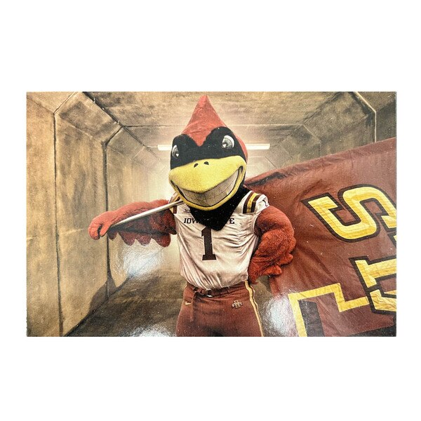 Cy Flag in Tunnel Postcard